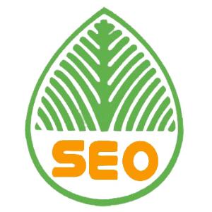 河东提升网站移动适配的注意事项